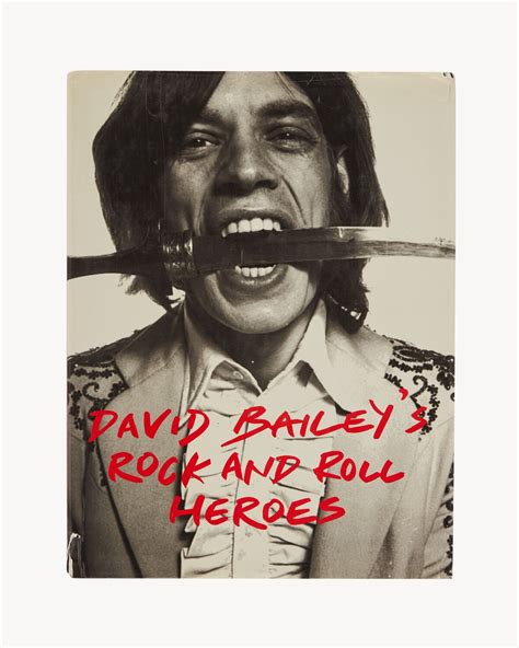 DAVID BAILEY'S ROCK AND ROLL HEROES 